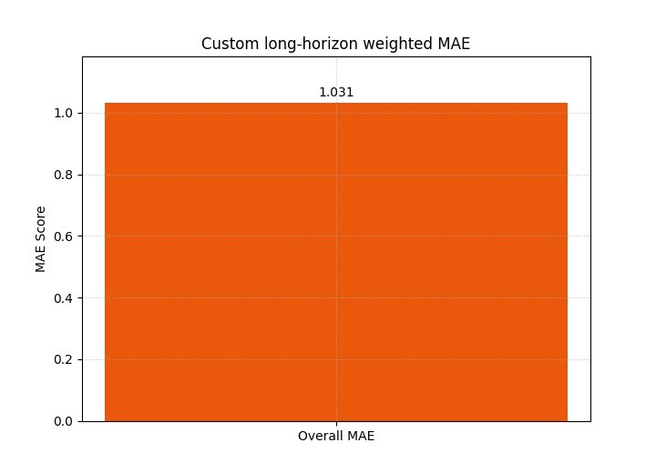 Custom long-horizon weighted MAE